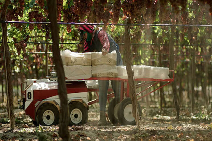 Sustainable agricultural robotics to farm industry Sustainable agricultural robotics to farm industry