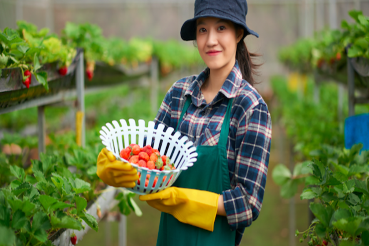 Merchandising greenhouse-grown produce for more sales Merchandising greenhouse-grown produce for more sales