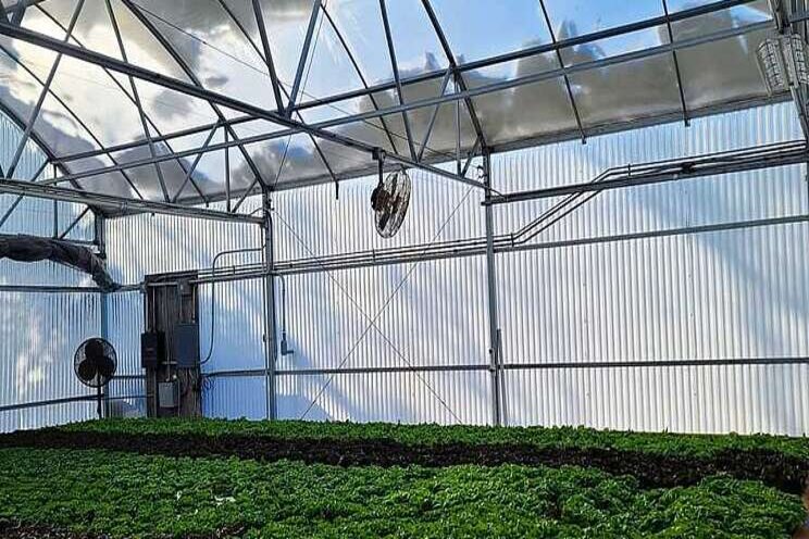 Texas indoor growers fight to save their crops Texas indoor growers fight to save their crops