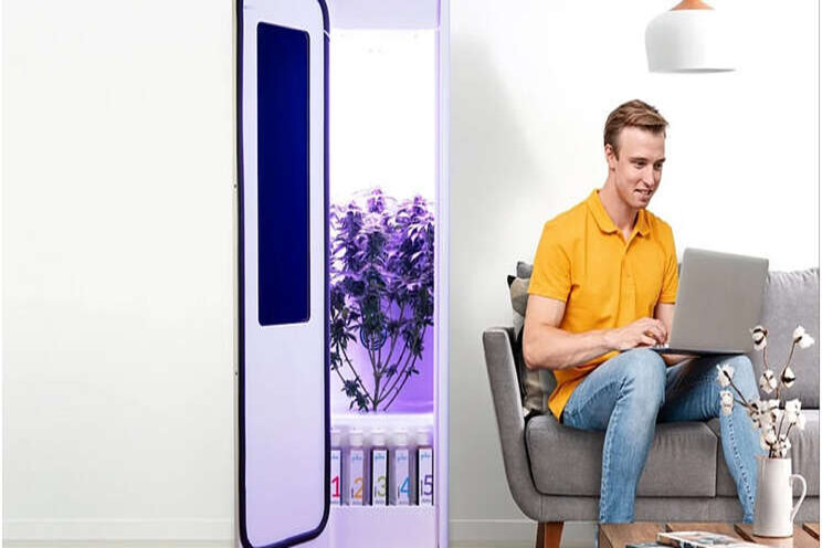 This smart indoor garden uses hydroponics to grow veggies This smart indoor garden uses hydroponics to grow veggies