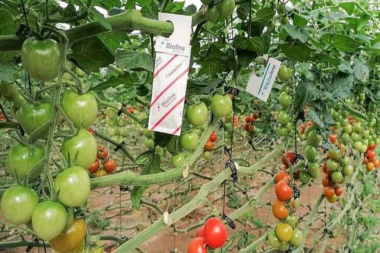 10 ways to improve grower education 10 ways to improve grower education