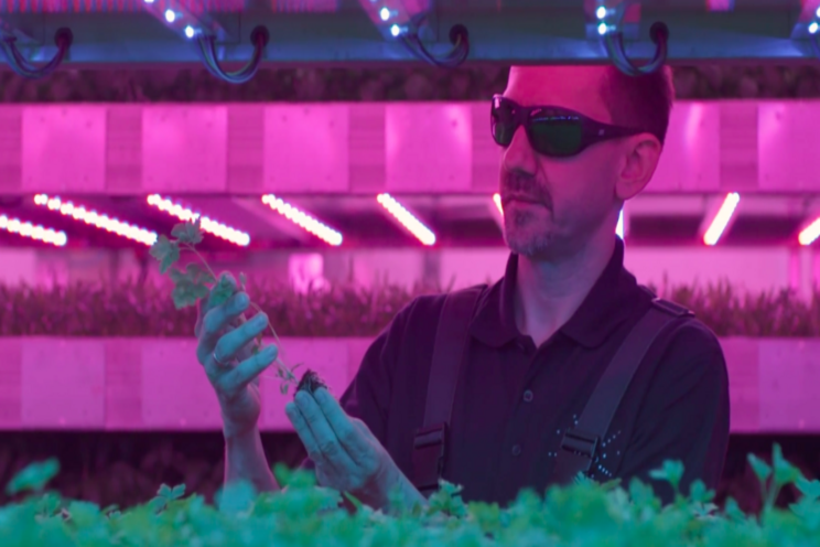 VIDEO| Take a look at an IGS farm VIDEO| Take a look at an IGS farm