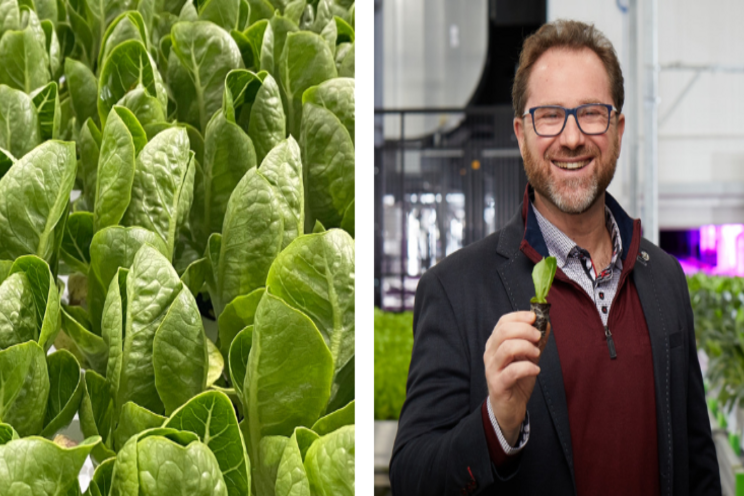 Vertical farming brings tremendous efficiency Vertical farming brings tremendous efficiency