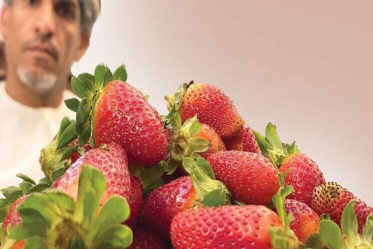 Now 'Made in Oman' strawberries! Now 'Made in Oman' strawberries!
