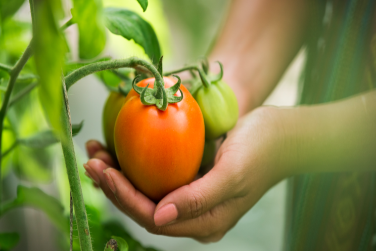 Improve the sustainability of your formulations Improve the sustainability of your formulations