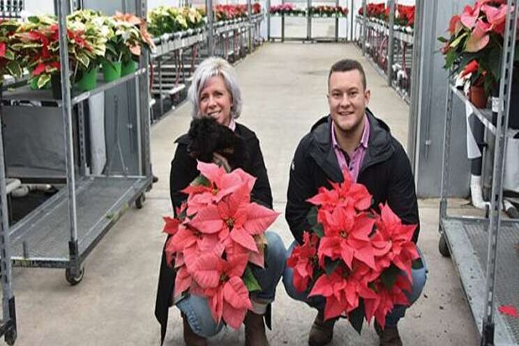 Lessons from the 2020 poinsettia season Lessons from the 2020 poinsettia season