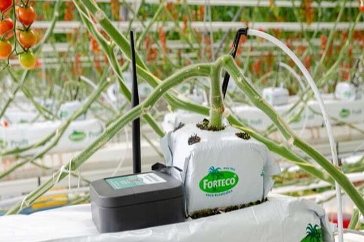 The perfect sensor for coco substrates The perfect sensor for coco substrates