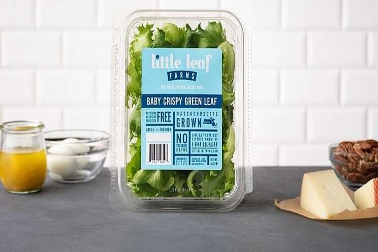 $90m to further scale hydroponic greenhouse-grown lettuce $90m to further scale hydroponic greenhouse-grown lettuce