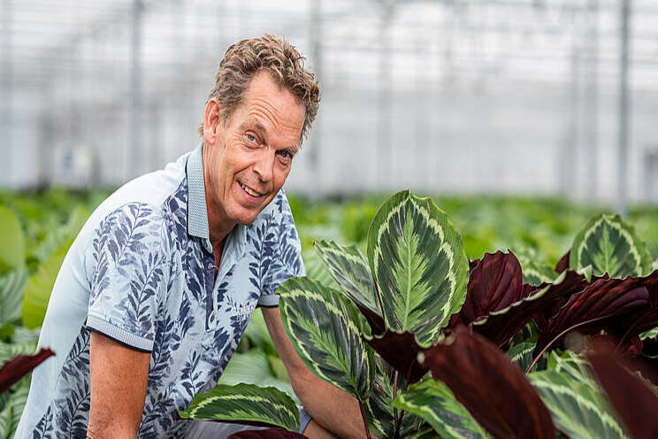 No longer throwing plants away thanks to max biological use No longer throwing plants away thanks to max biological use