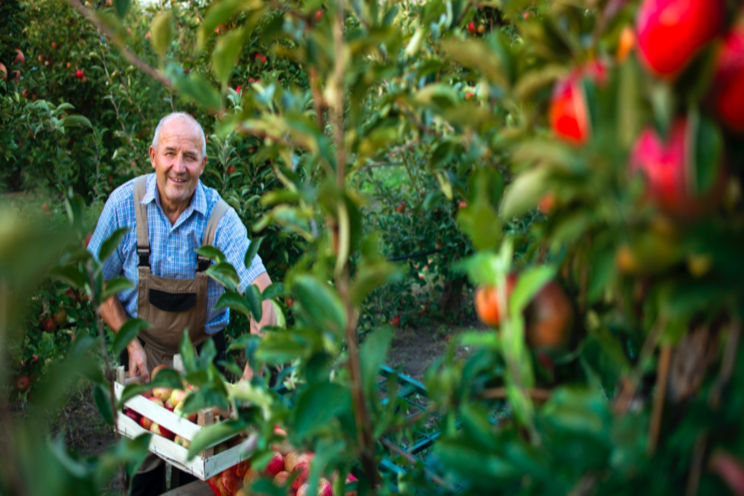 6 possible impacts of Covid 19 on farming 6 possible impacts of Covid 19 on farming