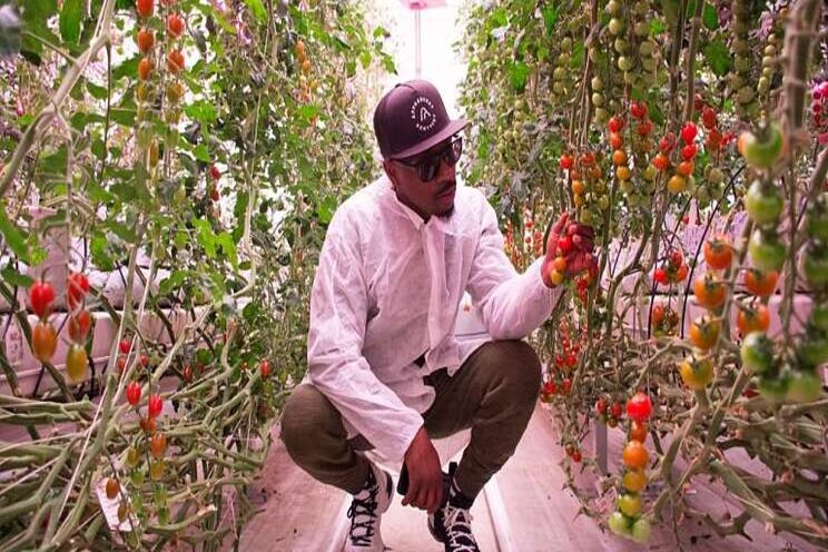 CEA to change the face of American farming CEA to change the face of American farming