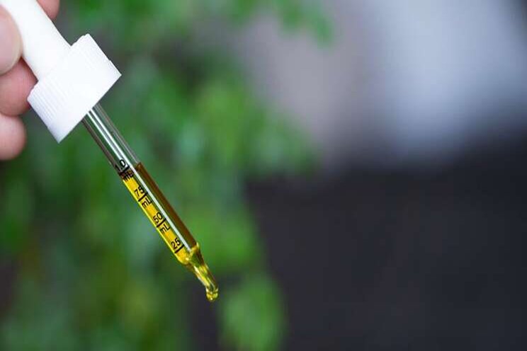 CBD in cannabis does not impair driving, study shows CBD in cannabis does not impair driving, study shows