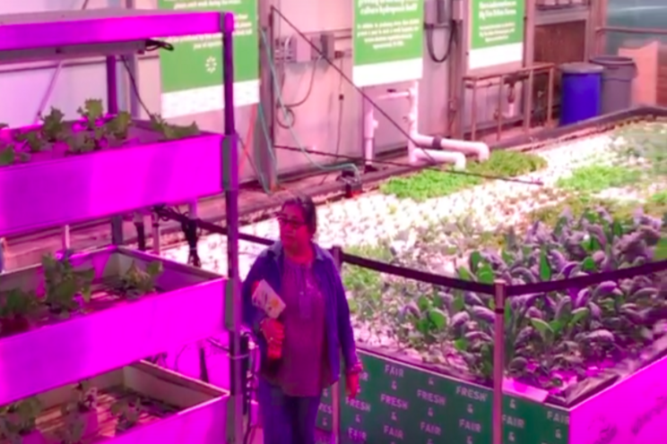 Which type of hydroponic system is better? Which type of hydroponic system is better?