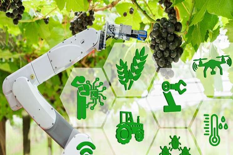 Vertical farming at a crossroads as the focus is fresh produce Vertical farming at a crossroads as the focus is fresh produce