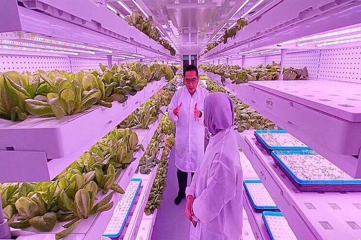 Farming goes indoors Farming goes indoors