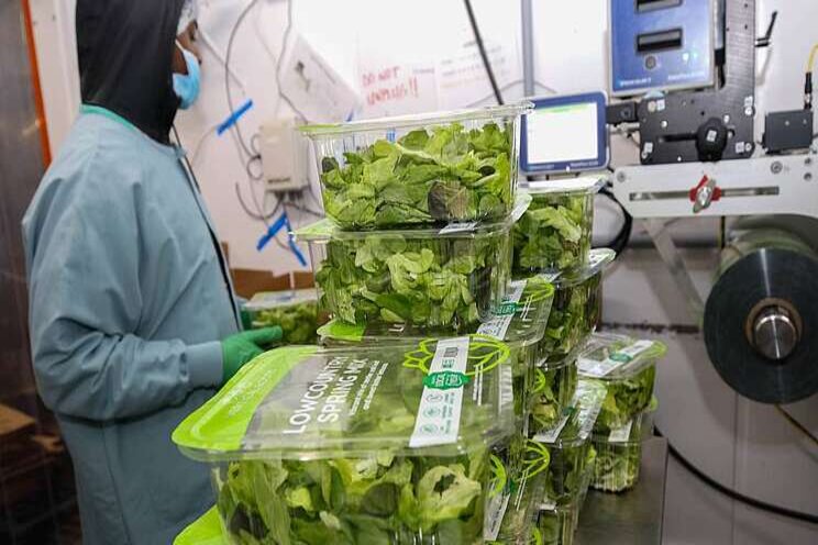 Tech to cut plastic pollution and boost sustainability Tech to cut plastic pollution and boost sustainability
