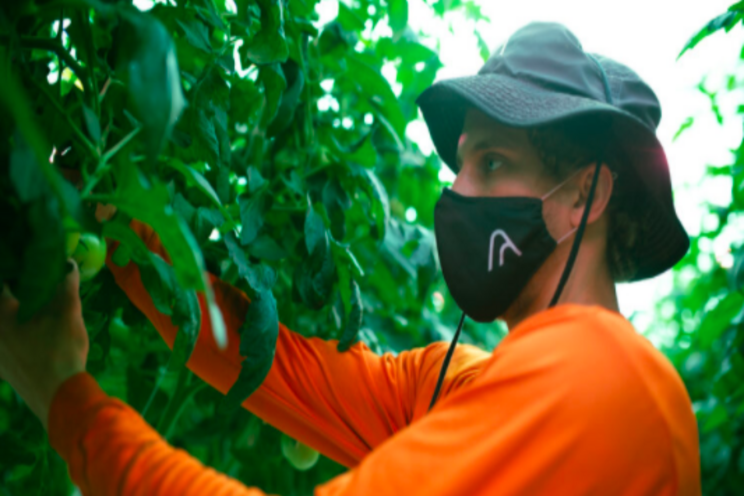 Is AppHarvest the future of farming? Is AppHarvest the future of farming?