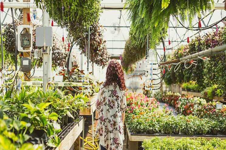 Strategies to grow your greenhouse business in 2021 Strategies to grow your greenhouse business in 2021