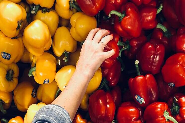 Better marketing key to growing greenhouse sales: OGVG Better marketing key to growing greenhouse sales: OGVG