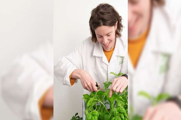 How does indoor farming work? How does indoor farming work?