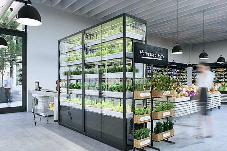 Vertical farming to shape the post pandemic food supply chain Vertical farming to shape the post pandemic food supply chain