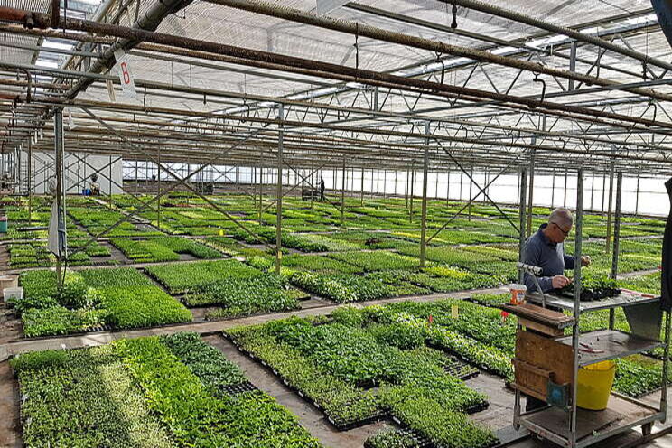 Cost & time reduction for nursery management Cost & time reduction for nursery management