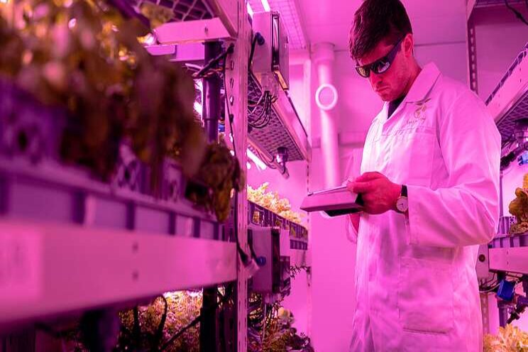 What are the benefits of aeroponics? What are the benefits of aeroponics?