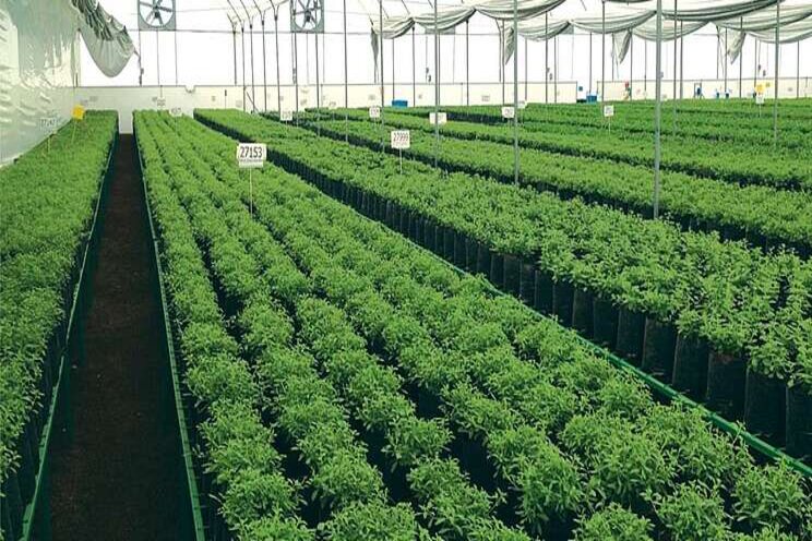 Green industry to ease supply chain challenges Green industry to ease supply chain challenges