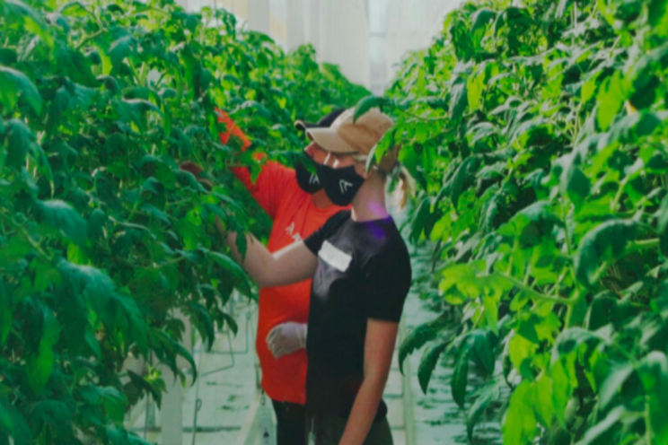 AppHarvest takes stock in new growth after reverse merger AppHarvest takes stock in new growth after reverse merger