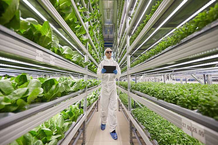 Yasai to establish first Zürich Vertical Farm Yasai to establish first Zürich Vertical Farm