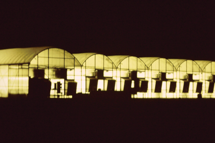 Light pollution a concern growers must account for Light pollution a concern growers must account for