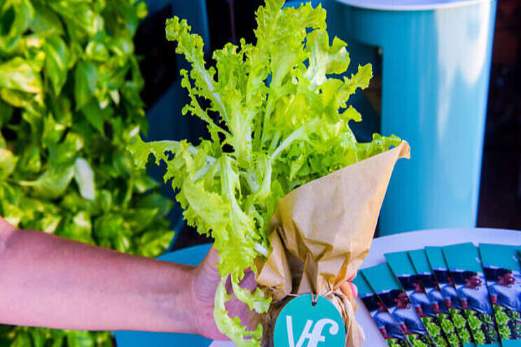 The deal to deploy the farming system in UAE The deal to deploy the farming system in UAE