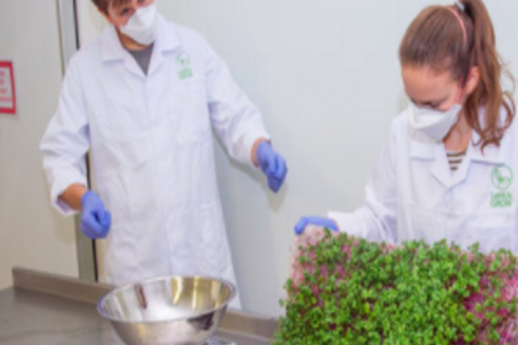 Advice for new vertical farmers Advice for new vertical farmers