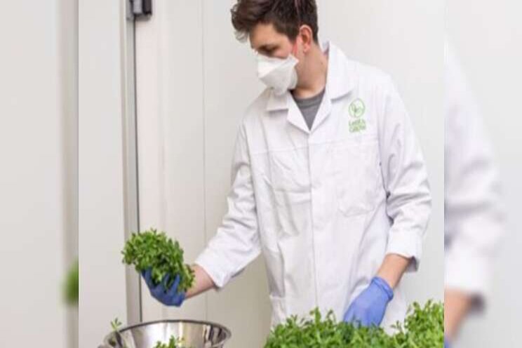 Running a LettUs Grow farm -Part2 Running a LettUs Grow farm -Part2