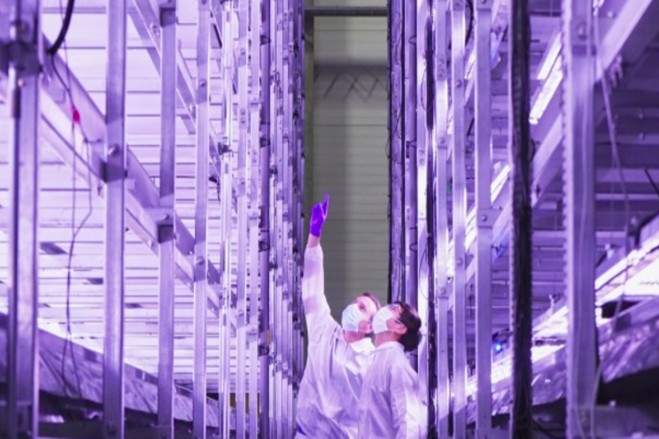 Wind-powered vertical veggie farm harvests first crops Wind-powered vertical veggie farm harvests first crops
