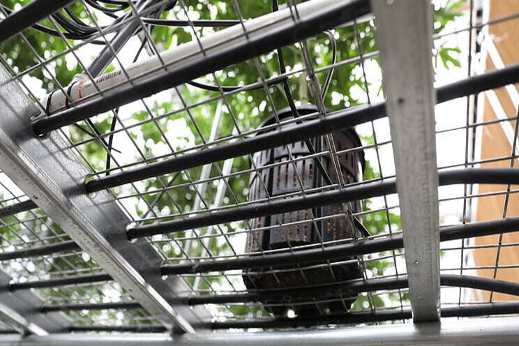 3 ways to provide root zone heating in a cannabis greenhouse 3 ways to provide root zone heating in a cannabis greenhouse