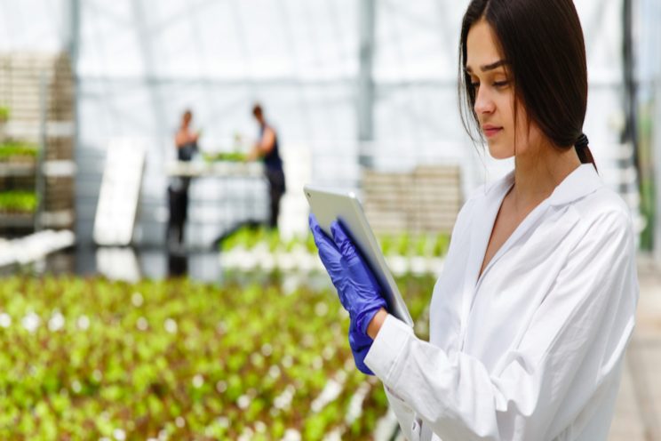 Mobile app helps farmers monitor mental health Mobile app helps farmers monitor mental health