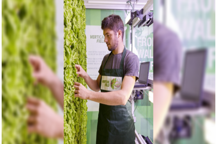 Grow veggies on site at restaurants and grocery stores Grow veggies on site at restaurants and grocery stores
