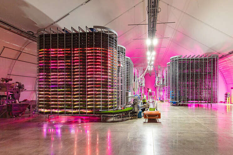 Indoor vertical farms to be the future of livestock feed Indoor vertical farms to be the future of livestock feed