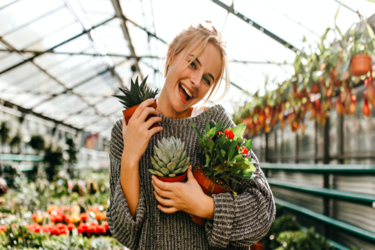 When & how to use Epsom salt on plants When & how to use Epsom salt on plants