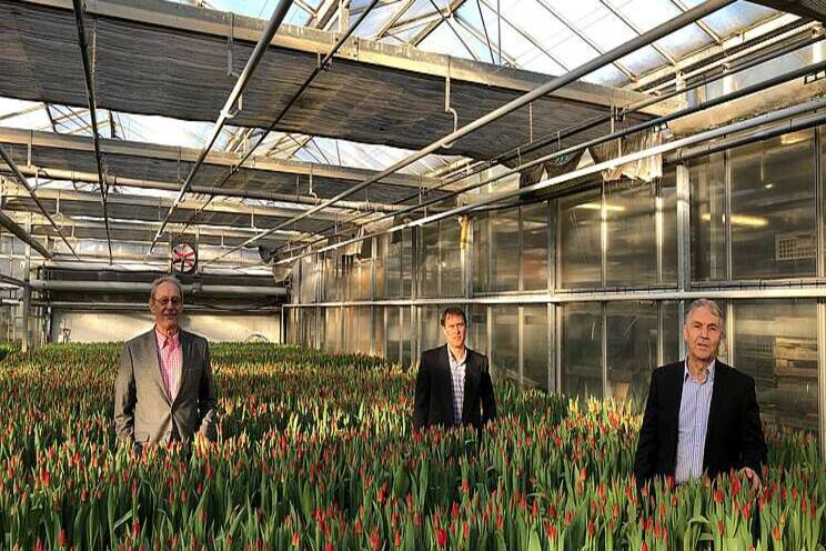 Time to decide future of AHDB Horticulture Time to decide future of AHDB Horticulture