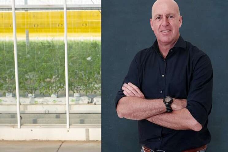 Dutch manager for Mexican greenhouse Dutch manager for Mexican greenhouse