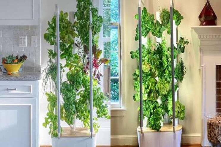 This vertical garden device makes indoor gardening possible This vertical garden device makes indoor gardening possible