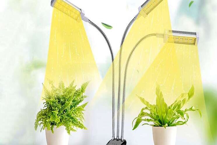 Indoor grow light is a 'Lifesaver' for plants during winter Indoor grow light is a 'Lifesaver' for plants during winter