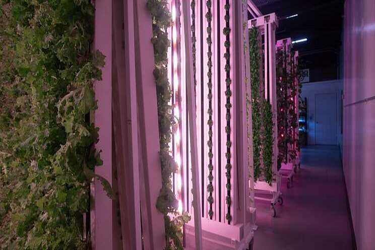 The one thing you're probably overlooking in your greenhouse The one thing you're probably overlooking in your greenhouse
