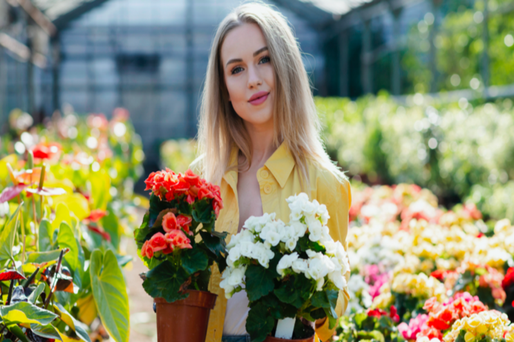 New England Floriculture Guide now available online New England Floriculture Guide now available online