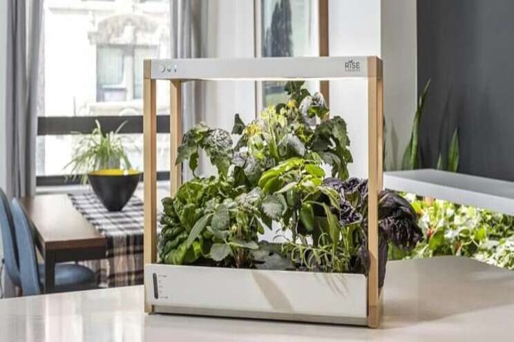 Indoor smart garden with Alexa integration Indoor smart garden with Alexa integration