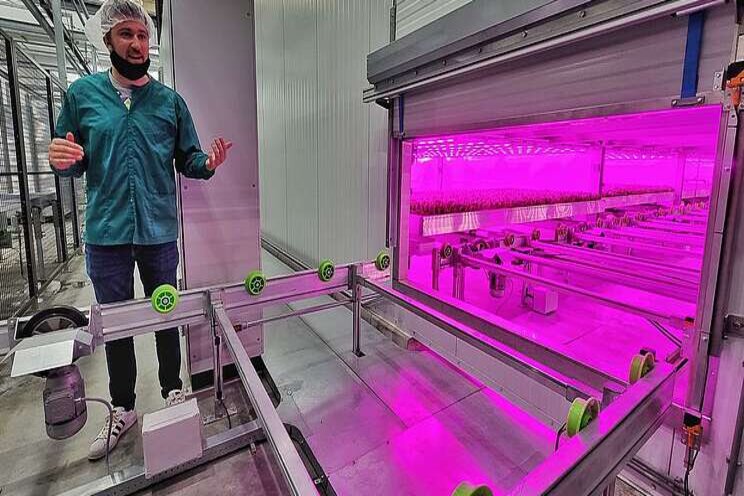 Gigantic indoor growing farm opens Gigantic indoor growing farm opens