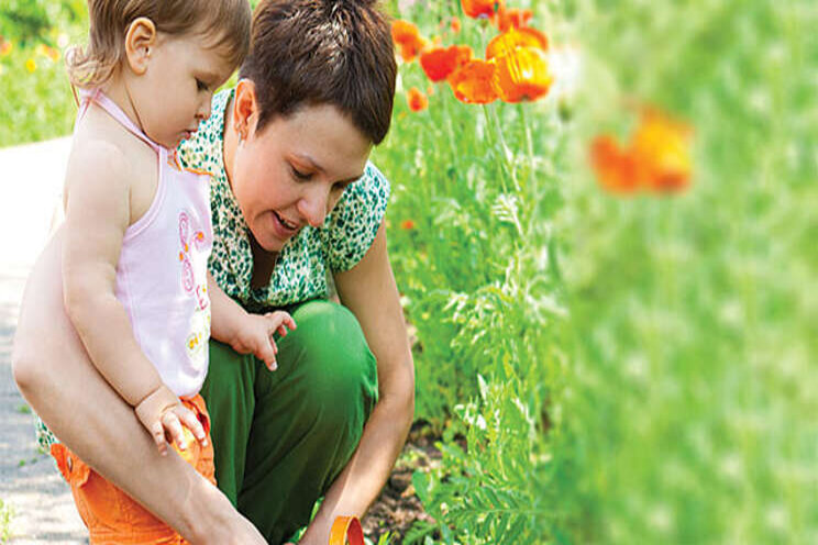 New partnership to boost youth interest in gardening New partnership to boost youth interest in gardening