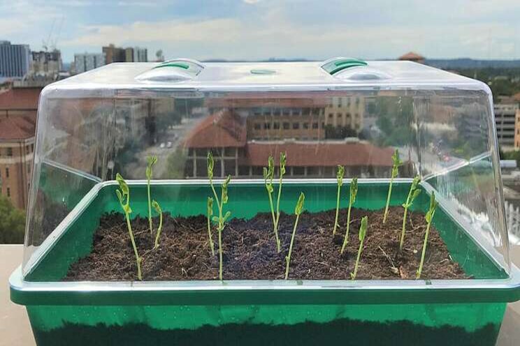 Self-watering soil could reduce water use in agri Self-watering soil could reduce water use in agri
